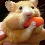 Biting off more than you can chew