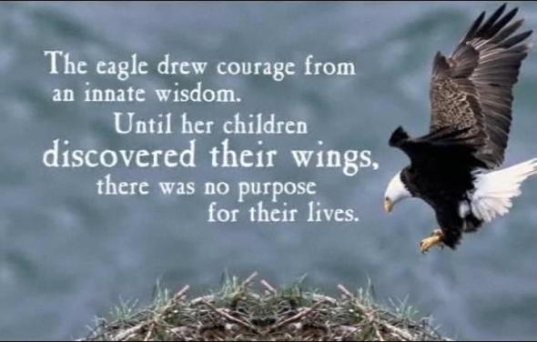 Eagles discover the gift of soaring