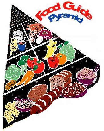 Kid's Food Pyramid