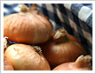 Onions