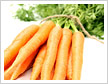 Carrots