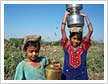 Children Carrying Milk