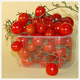 Cherry Tomatoes in Container