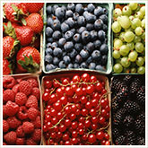 Various Berries