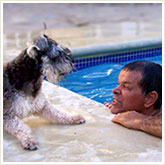 Man Playing with a Dog Poolside
