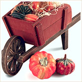Pumpkins and Wheelbarrow