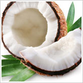 Coconut