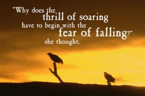 The Thrill of Soaring