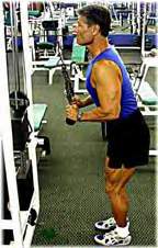 Triceps Pressdowns