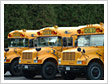 School Bus